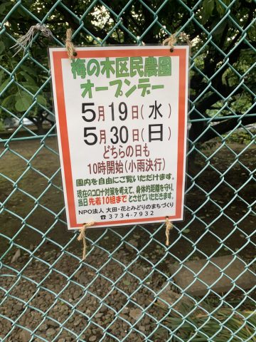 区民農園　収穫に参加‼