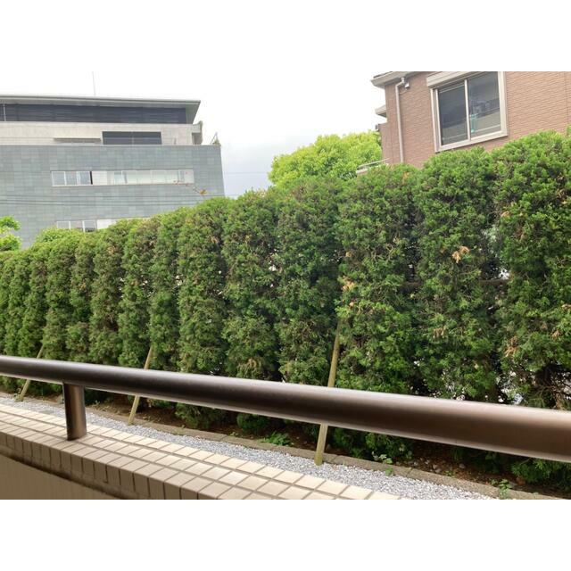 ベラアカシア 眺望